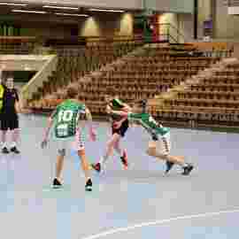 fa g&ouml;ppingen 2 - hsg 03/2020