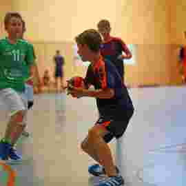 hsg - fa g&ouml;ppingen 2      05/2017