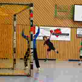hsg - fa g&ouml;ppingen 2      05/2017