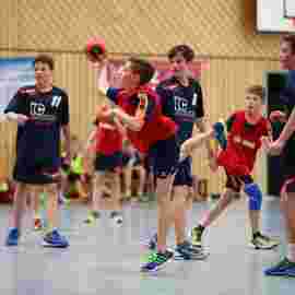 hsg - fa g&ouml;ppingen 2      05/2017