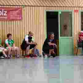 hsg - fa g&ouml;ppingen 2      05/2017