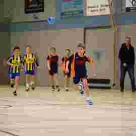 hsg - fa g&ouml;ppingen 03/2017