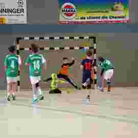hsg - fa g&ouml;ppingen 03/2017