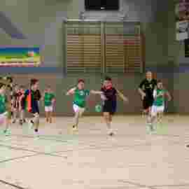 hsg - fa g&ouml;ppingen 03/2017