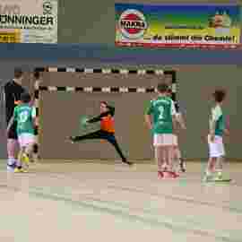 hsg - fa g&ouml;ppingen 03/2017