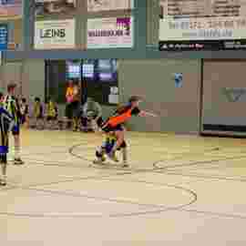 hsg - fa g&ouml;ppingen 03/2017