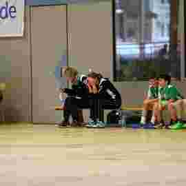 hsg - fa g&ouml;ppingen 03/2017