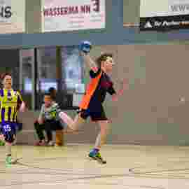 hsg - fa g&ouml;ppingen 03/2017