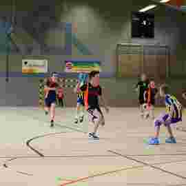 hsg - fa g&ouml;ppingen 03/2017