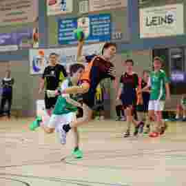 hsg - fa g&ouml;ppingen 03/2017