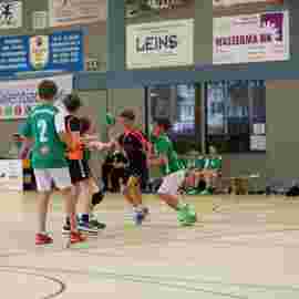 hsg - fa g&ouml;ppingen 03/2017