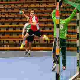 ts g&ouml;ppingen 2017/18