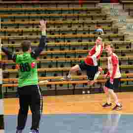 ts g&ouml;ppingen 2017/18