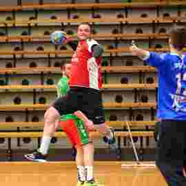 ts g&ouml;ppingen 2017/18