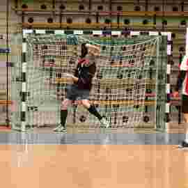 ts g&ouml;ppingen 2017/18