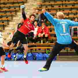 ts g&ouml;ppingen 2017/18