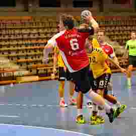 ts g&ouml;ppingen 2017/18