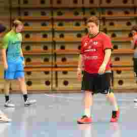 tv jahn g&ouml;ppingen - ts