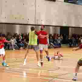 ts g&ouml;ppingen - msg djk gp/tv holzheim 11.11.2023