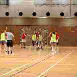 ts g&ouml;ppingen - msg djk gp/tv holzheim 11.11.2023
