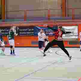 tg geislingen 2 - heiningen 3 02.11.2024