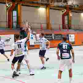 tg geislingen 2 - heiningen 3 02.11.2024