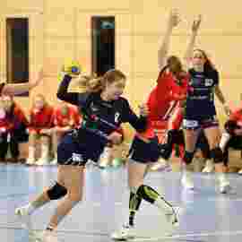 tsv heiningen - sg h2ku herrenberg