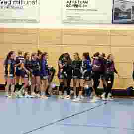 tsv heiningen - sg h2ku herrenberg