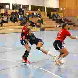 tsv heiningen - sg h2ku herrenberg