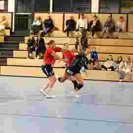 tsv heiningen - sg h2ku herrenberg