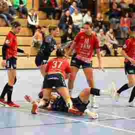 tsv heiningen - sg h2ku herrenberg