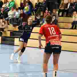 tsv heiningen - sg h2ku herrenberg