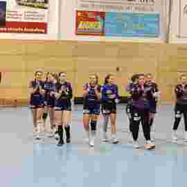 tsv heiningen - sg h2ku herrenberg