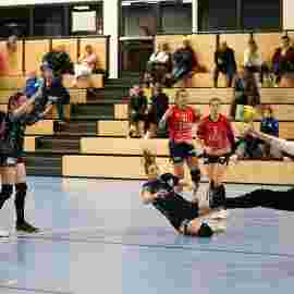 tsv heiningen - sg h2ku herrenberg