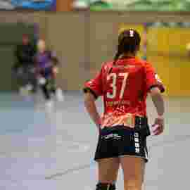 tsv heiningen - sg h2ku herrenberg