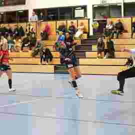 tsv heiningen - sg h2ku herrenberg