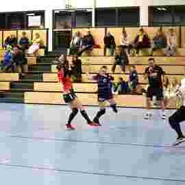 tsv heiningen - sg h2ku herrenberg