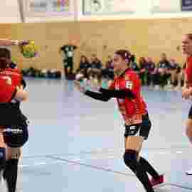 tsv heiningen - sg h2ku herrenberg