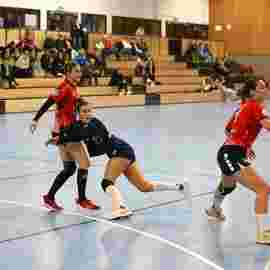 tsv heiningen - sg h2ku herrenberg