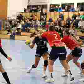 tsv heiningen - sg h2ku herrenberg