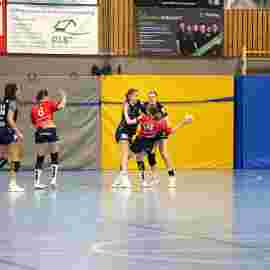 tsv heiningen - sg h2ku herrenberg