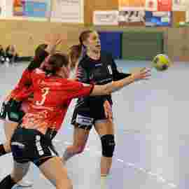 tsv heiningen - sg h2ku herrenberg