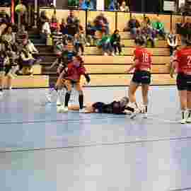 tsv heiningen - sg h2ku herrenberg