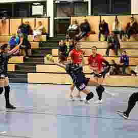 tsv heiningen - sg h2ku herrenberg