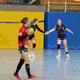 tsv heiningen - sg h2ku herrenberg