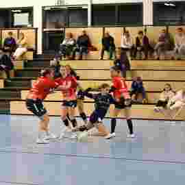 tsv heiningen - sg h2ku herrenberg