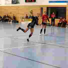 tsv heiningen - sg h2ku herrenberg