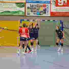 tsv heiningen - sg h2ku herrenberg