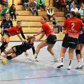 tsv heiningen - sg h2ku herrenberg