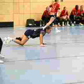 tsv heiningen - sg h2ku herrenberg